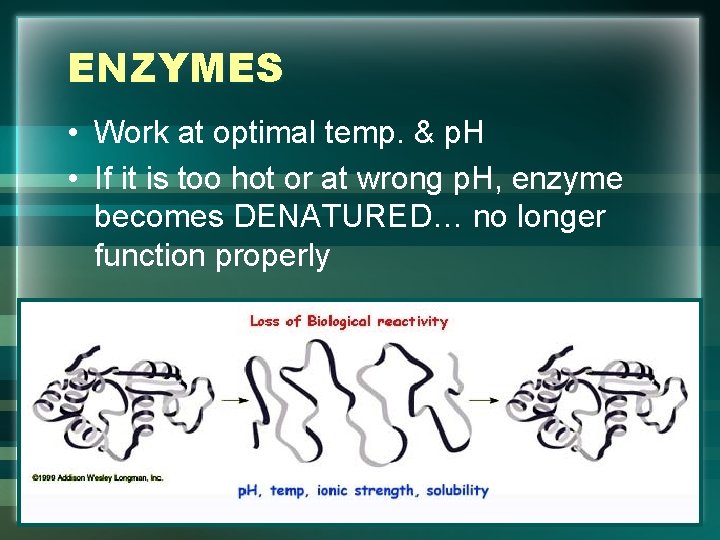 ENZYMES • Work at optimal temp. & p. H • If it is too