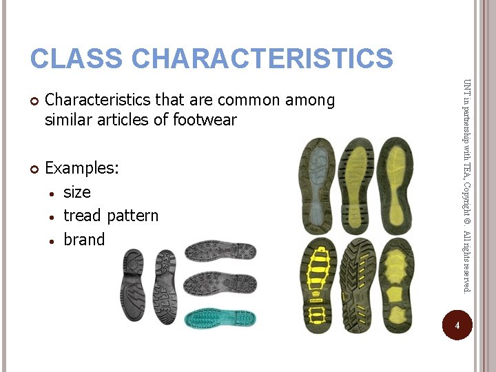 CLASS CHARACTERISTICS Characteristics that are common among similar articles of footwear Examples: • size
