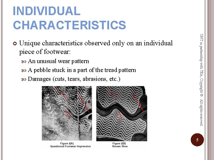 INDIVIDUAL CHARACTERISTICS UNT in partnership with TEA, Copyright ©. All rights reserved. Unique characteristics