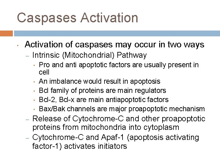 Caspases Activation • Activation of caspases may occur in two ways – Intrinsic (Mitochondrial)