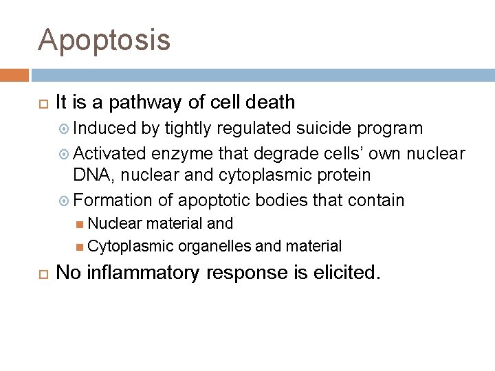 Apoptosis It is a pathway of cell death Induced by tightly regulated suicide program