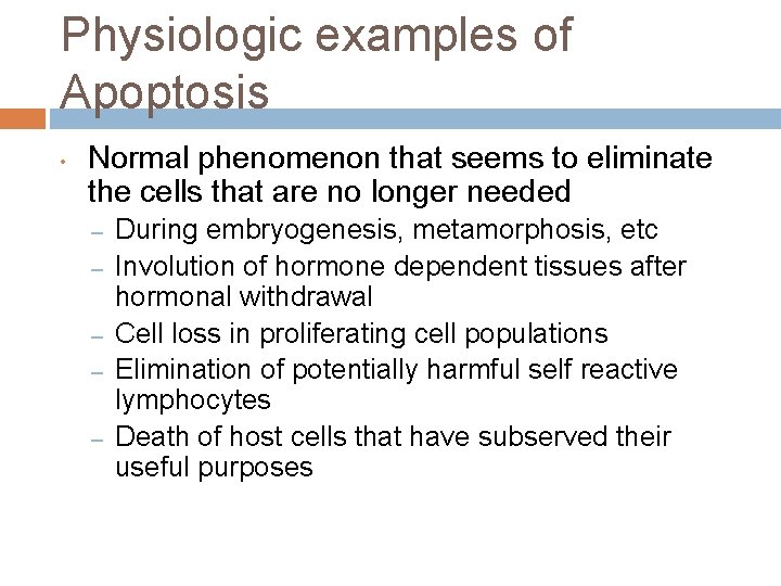 Physiologic examples of Apoptosis • Normal phenomenon that seems to eliminate the cells that