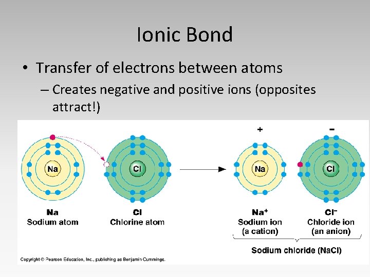 Ionic Bond • Transfer of electrons between atoms – Creates negative and positive ions