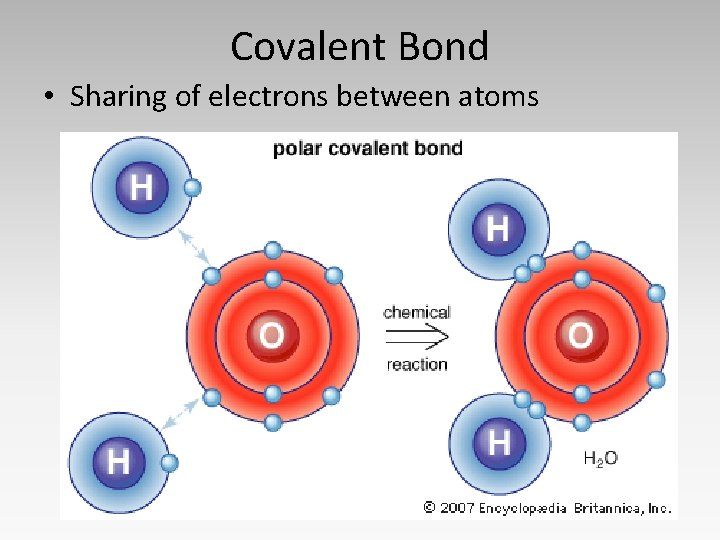 Covalent Bond • Sharing of electrons between atoms 