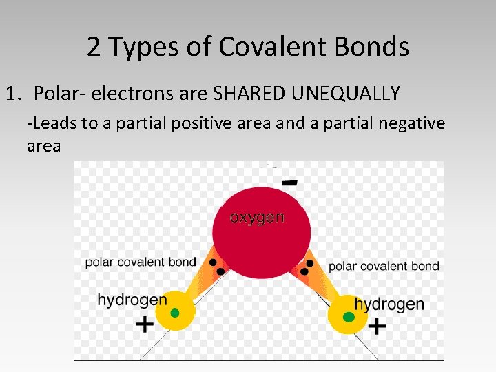 2 Types of Covalent Bonds 1. Polar- electrons are SHARED UNEQUALLY -Leads to a