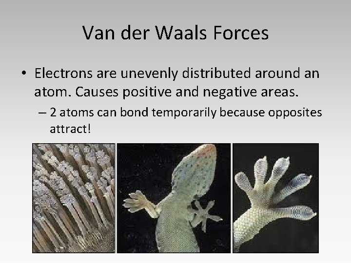 Van der Waals Forces • Electrons are unevenly distributed around an atom. Causes positive