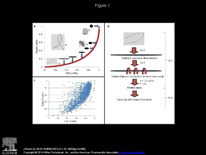 Figure 1 JPharm. Sci 2015 104536 -547 DOI: (10. 1002/jps. 24156) Copyright © 2014