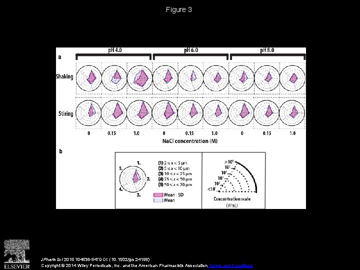Figure 3 JPharm. Sci 2015 104536 -547 DOI: (10. 1002/jps. 24156) Copyright © 2014