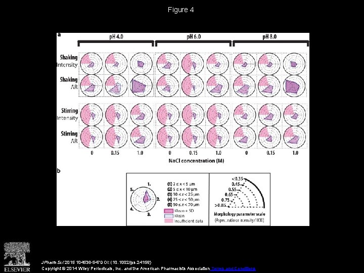 Figure 4 JPharm. Sci 2015 104536 -547 DOI: (10. 1002/jps. 24156) Copyright © 2014