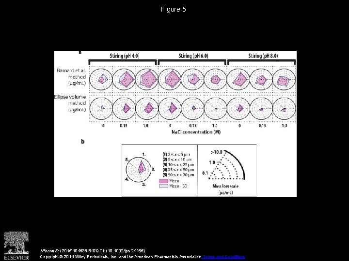 Figure 5 JPharm. Sci 2015 104536 -547 DOI: (10. 1002/jps. 24156) Copyright © 2014