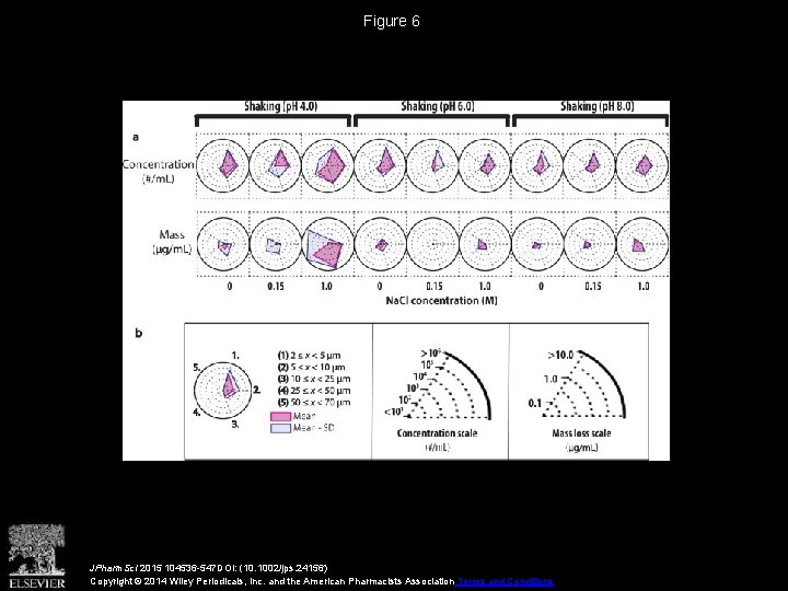 Figure 6 JPharm. Sci 2015 104536 -547 DOI: (10. 1002/jps. 24156) Copyright © 2014