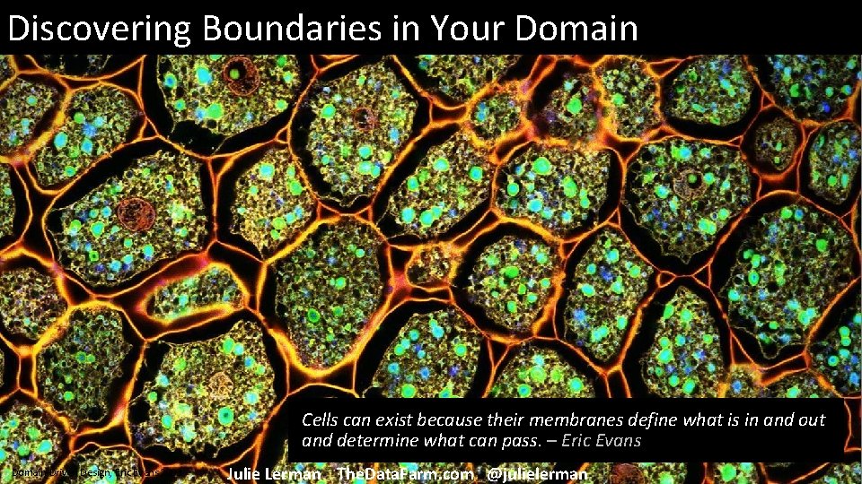 Discovering Boundaries in Your Domain Cells can exist because their membranes define what is