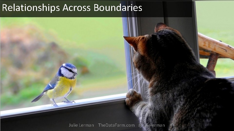 Relationships Across Boundaries Julie Lerman The. Data. Farm. com @julielerman 