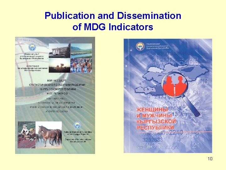 Publication and Dissemination of MDG Indicators 10 