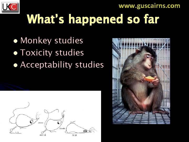 www. guscairns. com What’s happened so far Monkey studies l Toxicity studies l Acceptability