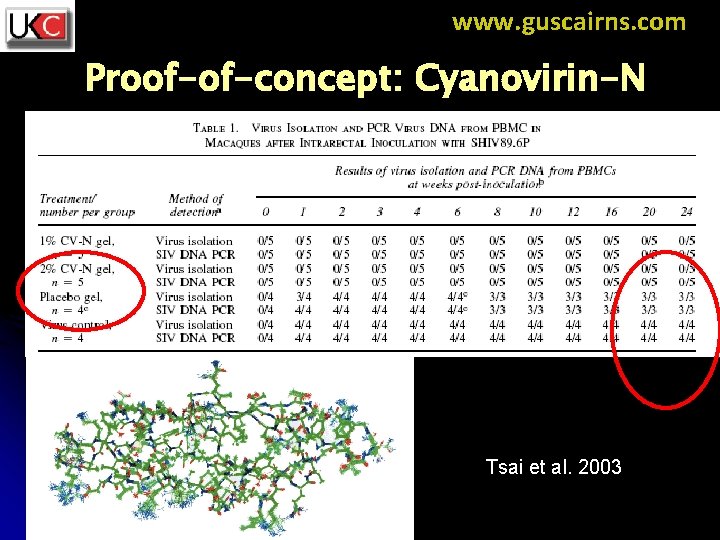 www. guscairns. com Proof-of-concept: Cyanovirin-N Tsai et al. 2003 