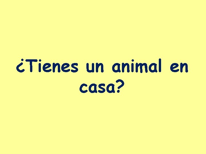 ¿Tienes un animal en casa? 