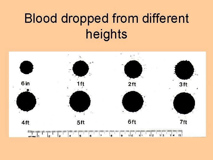 Blood dropped from different heights 