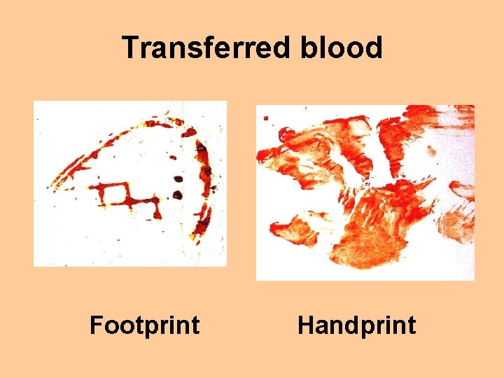 Transferred blood Footprint Handprint 