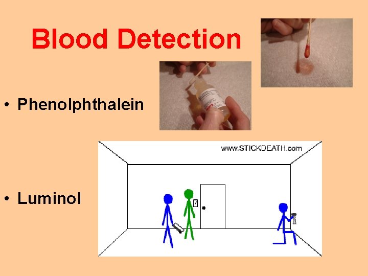 Blood Detection • Phenolphthalein • Luminol 