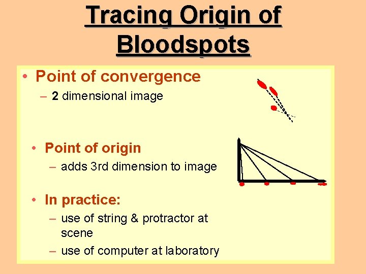 Tracing Origin of Bloodspots • Point of convergence – 2 dimensional image • Point