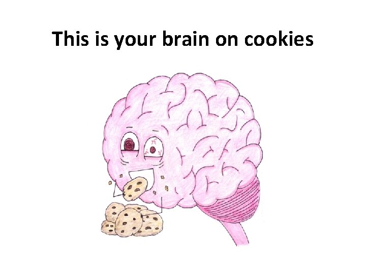 This is your brain on cookies 