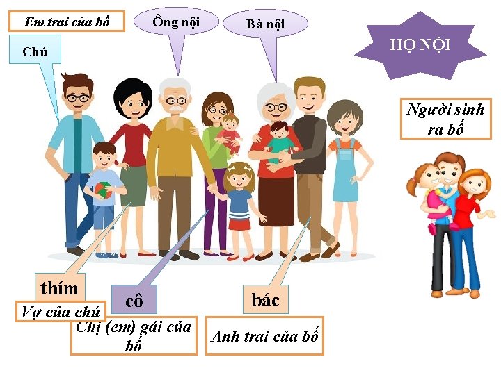 Ông nội Em trai của bố Bà nội HỌ NỘI Chú Người sinh ra