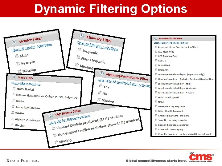 Dynamic Filtering Options 