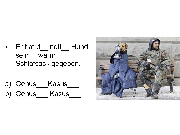  • Er hat d__ nett__ Hund sein__ warm__ Schlafsack gegeben. a) Genus___Kasus___ b)