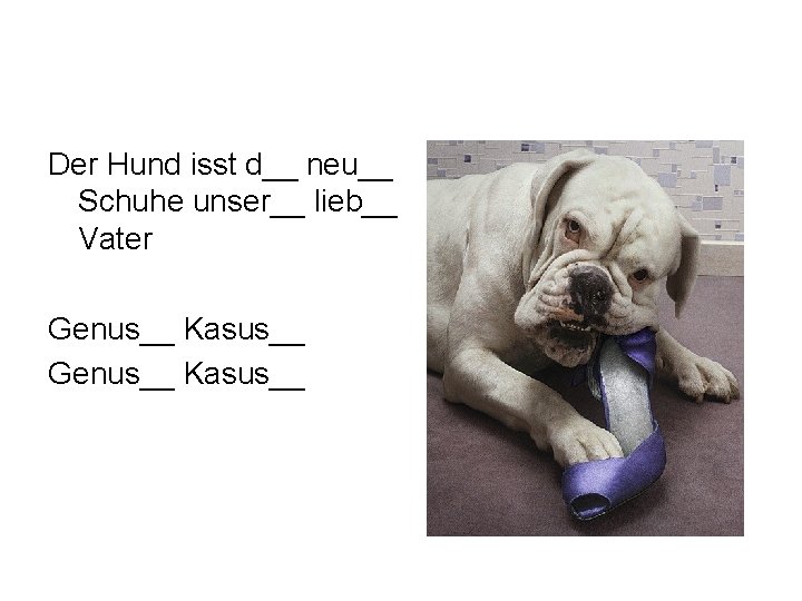 Der Hund isst d__ neu__ Schuhe unser__ lieb__ Vater Genus__ Kasus__ 