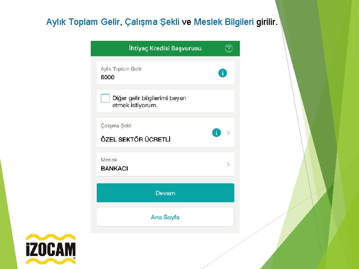 Aylık Toplam Gelir, Çalışma Şekli ve Meslek Bilgileri girilir. 