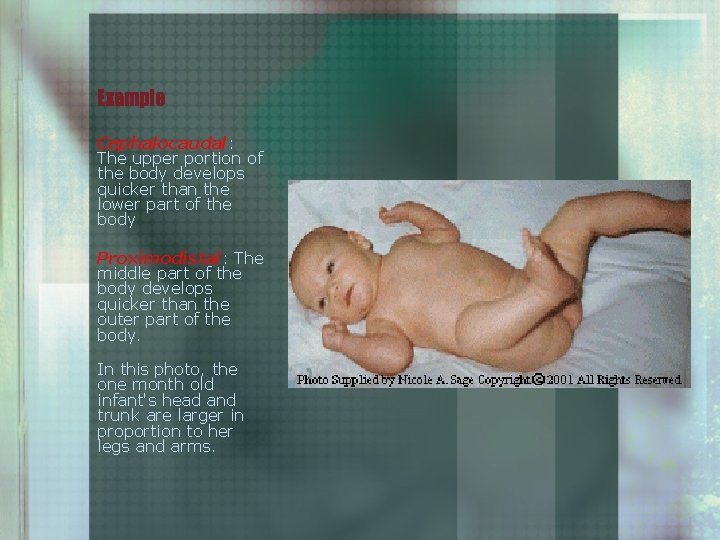 Example Cephalocaudal: The upper portion of the body develops quicker than the lower part