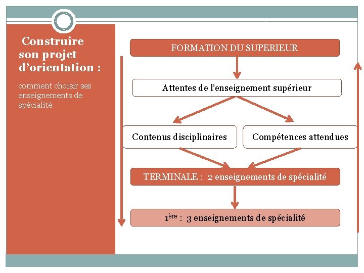 Construire son projet d’orientation : comment choisir ses enseignements de spécialité FORMATION DU SUPERIEUR