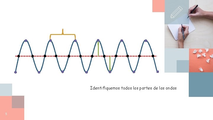 Identifiquemos todas las partes de las ondas 5 