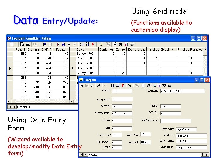 Data Entry/Update: Using Data Entry Form (Wizard available to develop/modify Data Entry form) Using