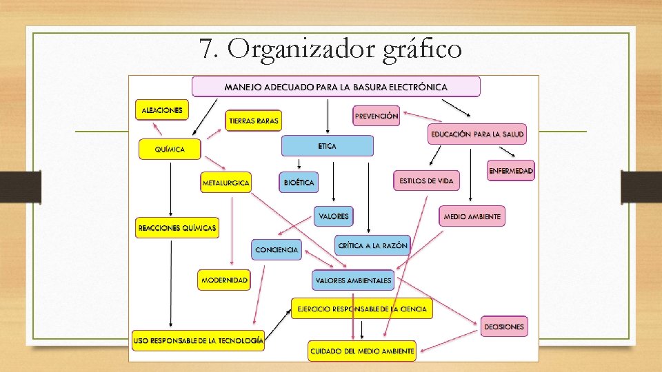 7. Organizador gráfico 