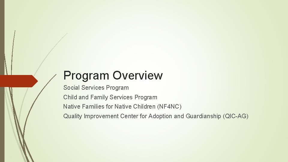 Program Overview Social Services Program Child and Family Services Program Native Families for Native