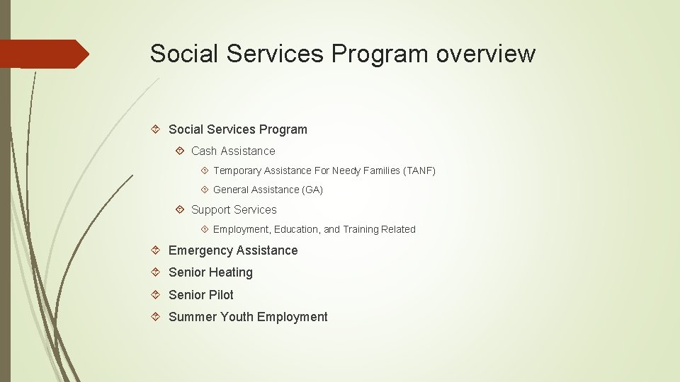 Social Services Program overview Social Services Program Cash Assistance Temporary Assistance For Needy Families