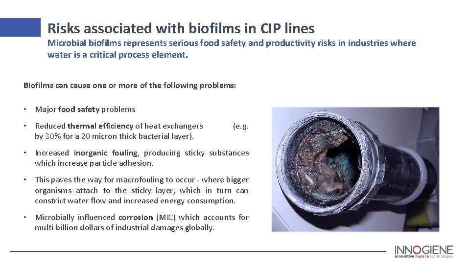 Risks associated with biofilms in CIP lines Microbial biofilms represents serious food safety and