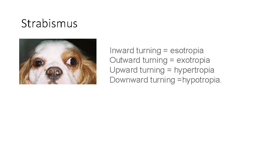 Strabismus Inward turning = esotropia Outward turning = exotropia Upward turning = hypertropia Downward