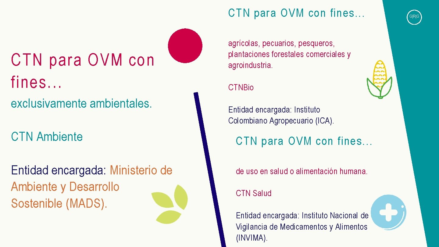 CTN para OVM con fines. . . exclusivamente ambientales. CTN Ambiente Entidad encargada: Ministerio