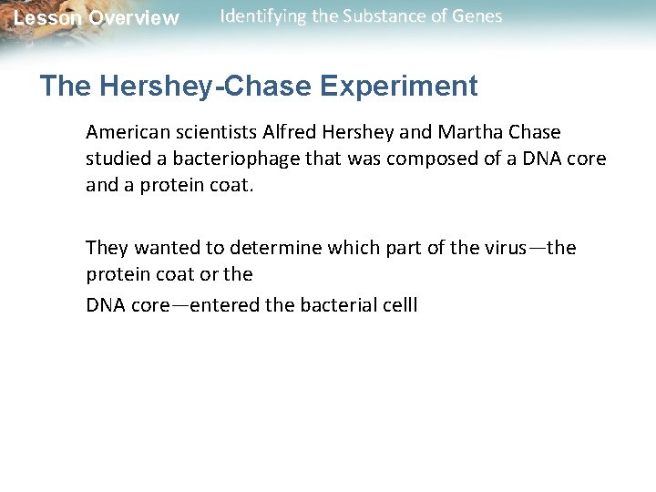 Lesson Overview Identifying the Substance of Genes The Hershey-Chase Experiment American scientists Alfred Hershey