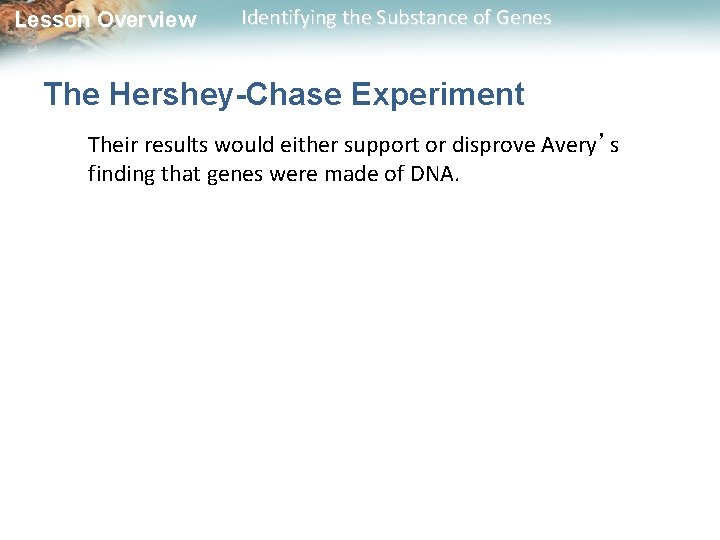 Lesson Overview Identifying the Substance of Genes The Hershey-Chase Experiment Their results would either