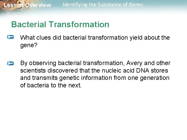 Lesson Overview Identifying the Substance of Genes Bacterial Transformation What clues did bacterial transformation