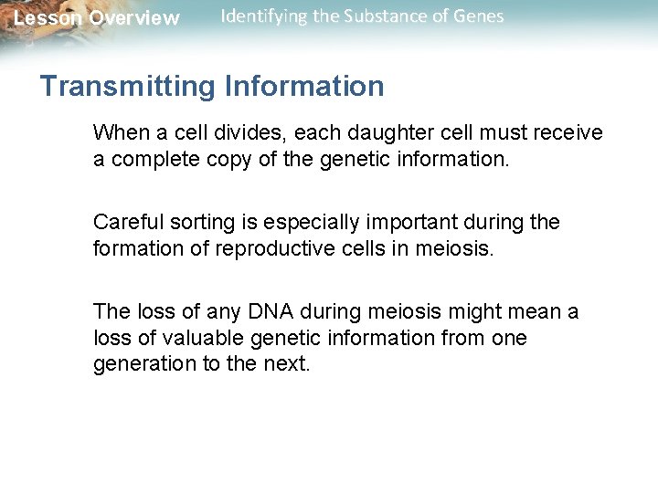 Lesson Overview Identifying the Substance of Genes Transmitting Information When a cell divides, each