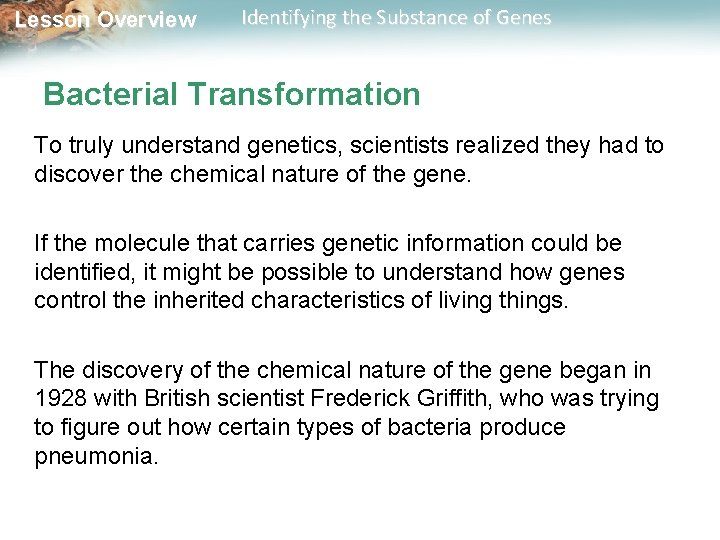Lesson Overview Identifying the Substance of Genes Bacterial Transformation To truly understand genetics, scientists