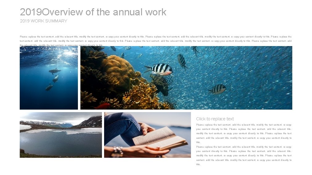 2019 Overview of the annual work 2019 WORK SUMMARY Please replace the text content,