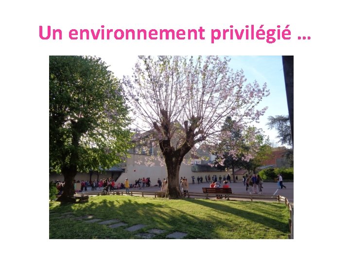 Un environnement privilégié … 