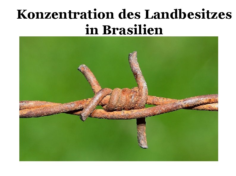 Konzentration des Landbesitzes in Brasilien 