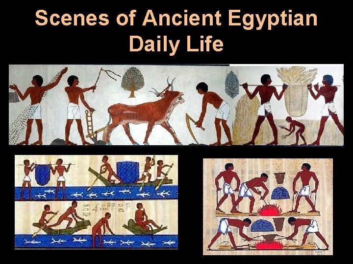 Scenes of Ancient Egyptian Daily Life 